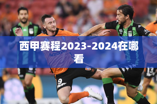 西甲赛程2023-2024在哪看