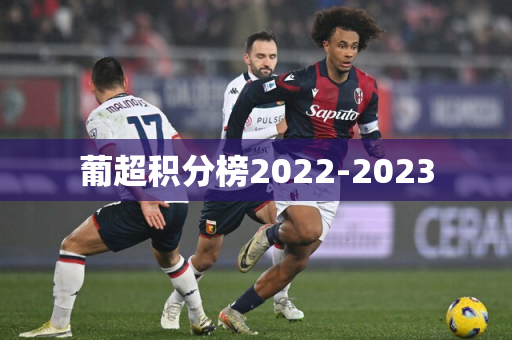 葡超积分榜2022-2023