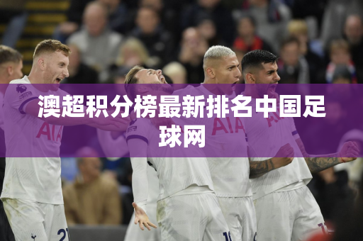 澳超积分榜最新排名中国足球网