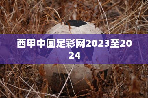 西甲中国足彩网2023至2024